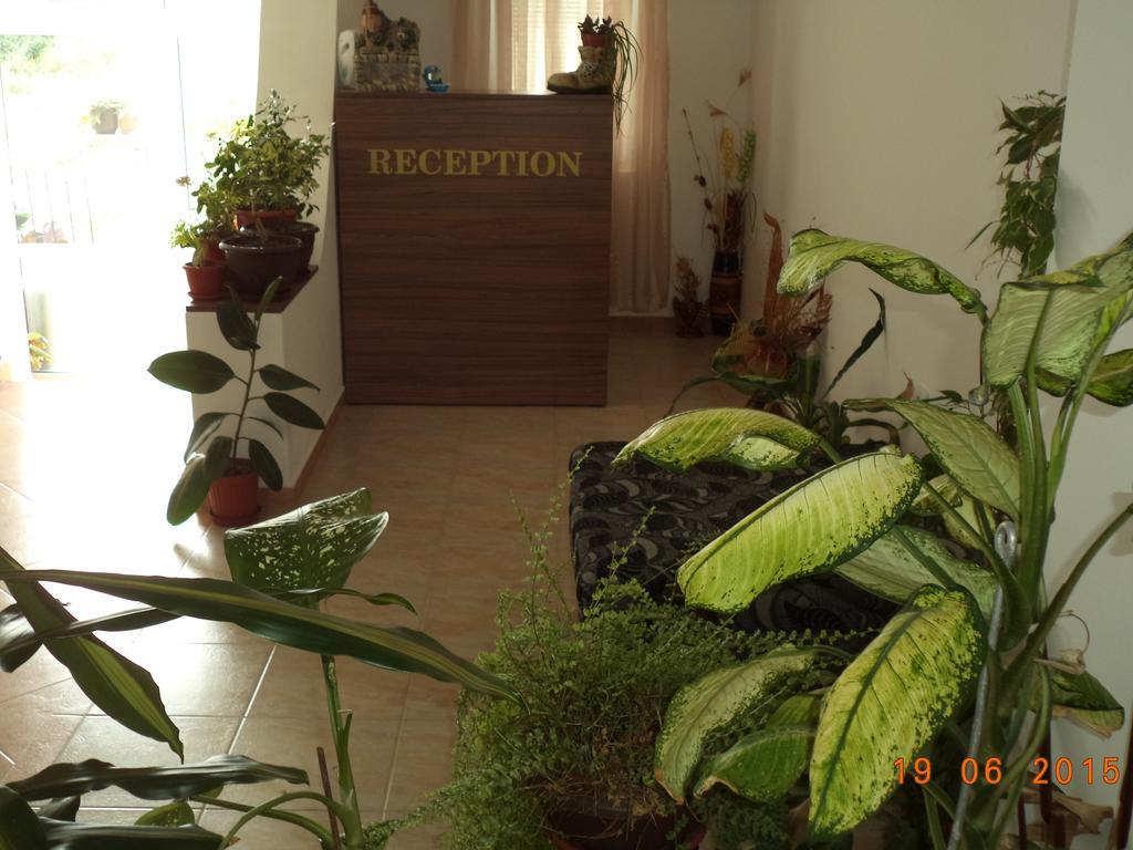 Sveti Georgi Guest House 索佐波尔 外观 照片