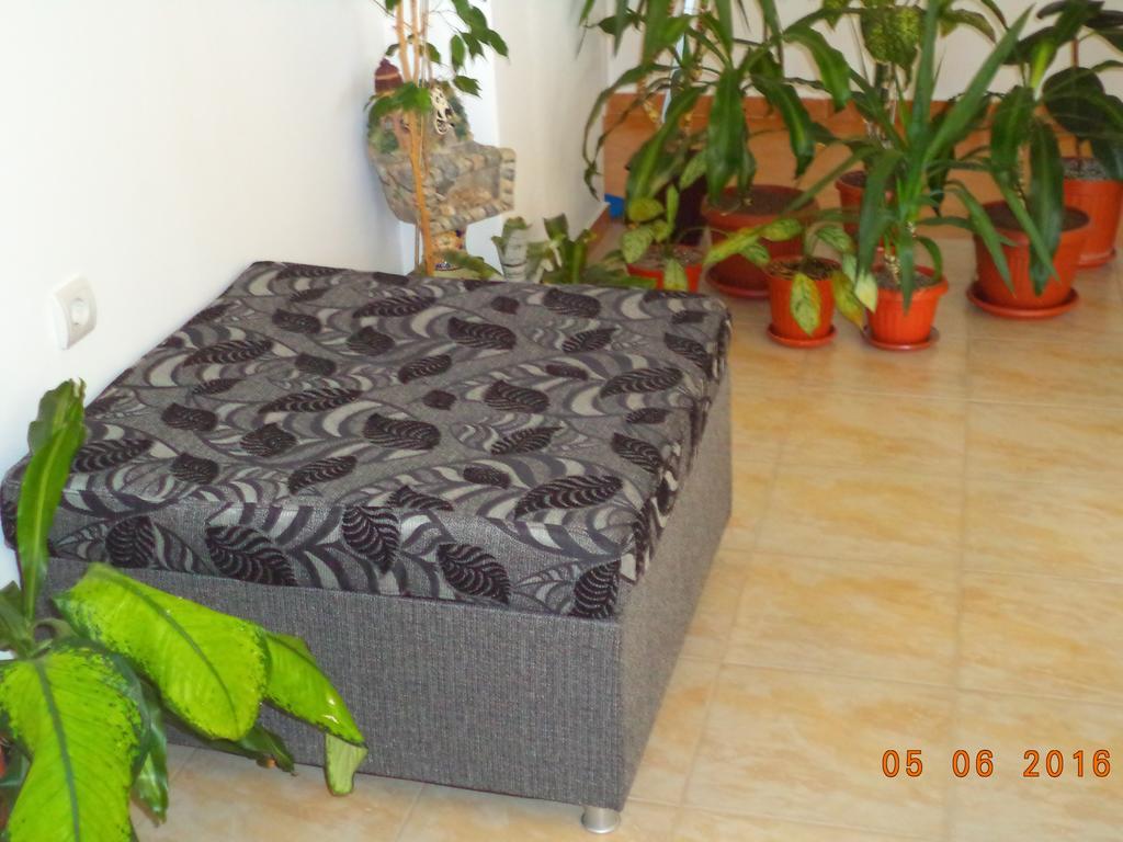 Sveti Georgi Guest House 索佐波尔 外观 照片